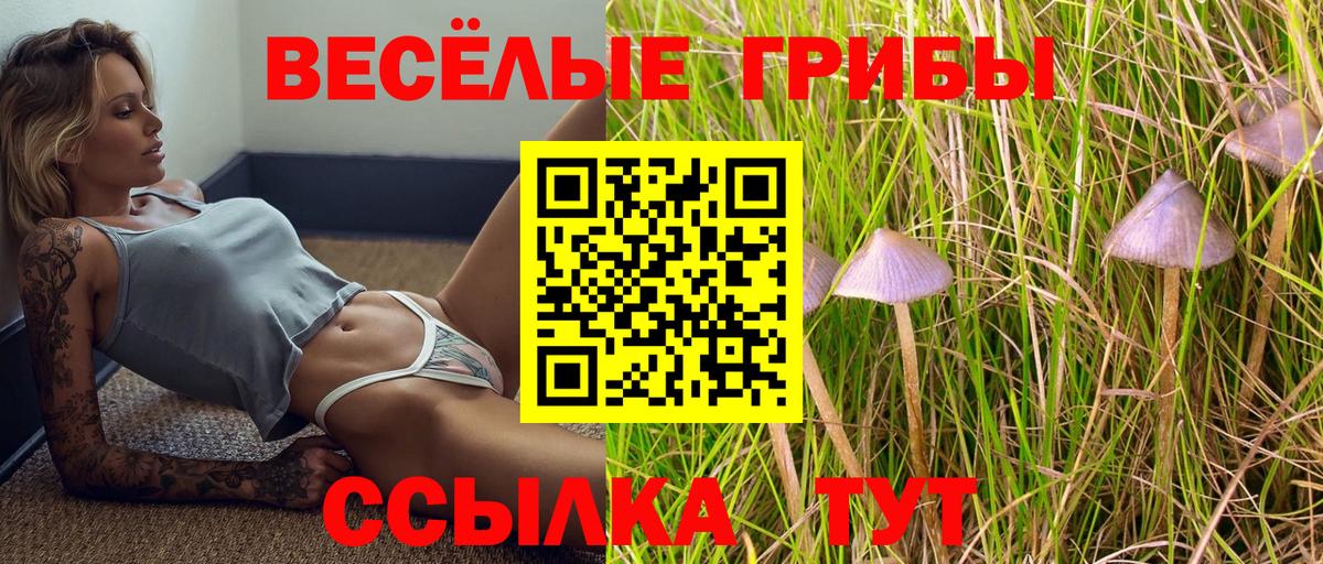 Галлюциногенные грибы Magic Shrooms Омск
